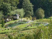 Ganzheitliche Gartengestaltung TamanGa